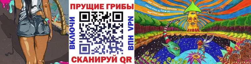 Галлюциногенные грибы Psilocybe  Сасово 